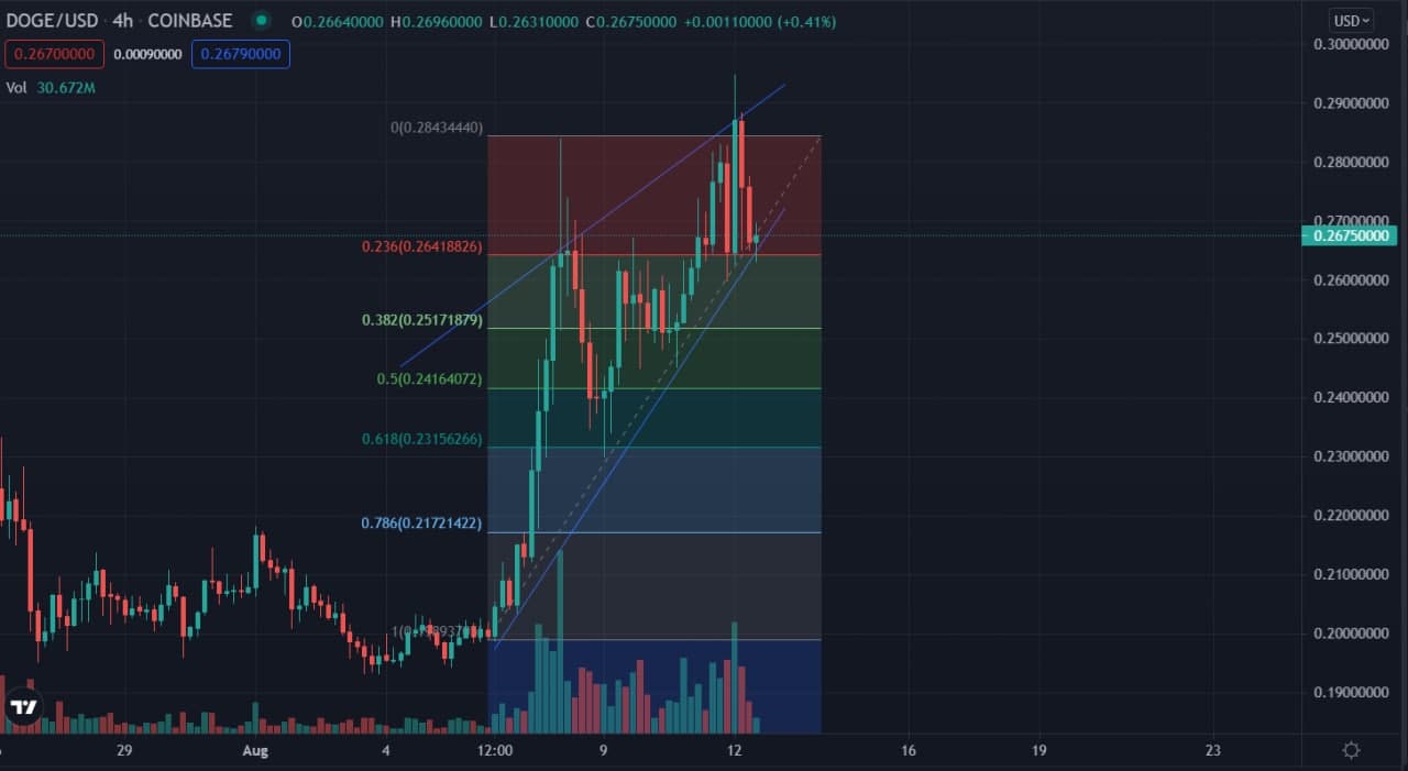 تحلیل رمز ارز دوج