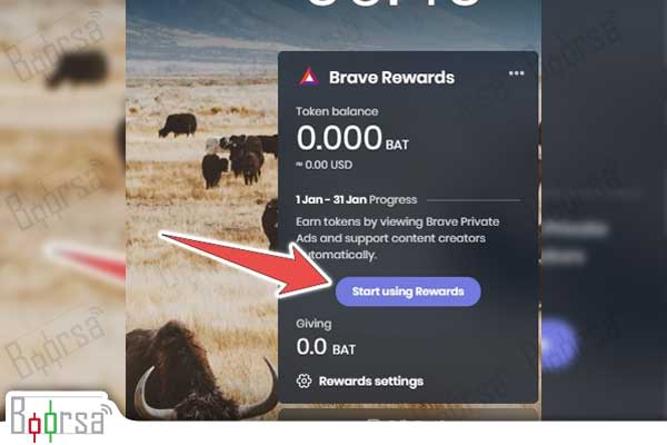 کار با پلتفرم Brave Rewards